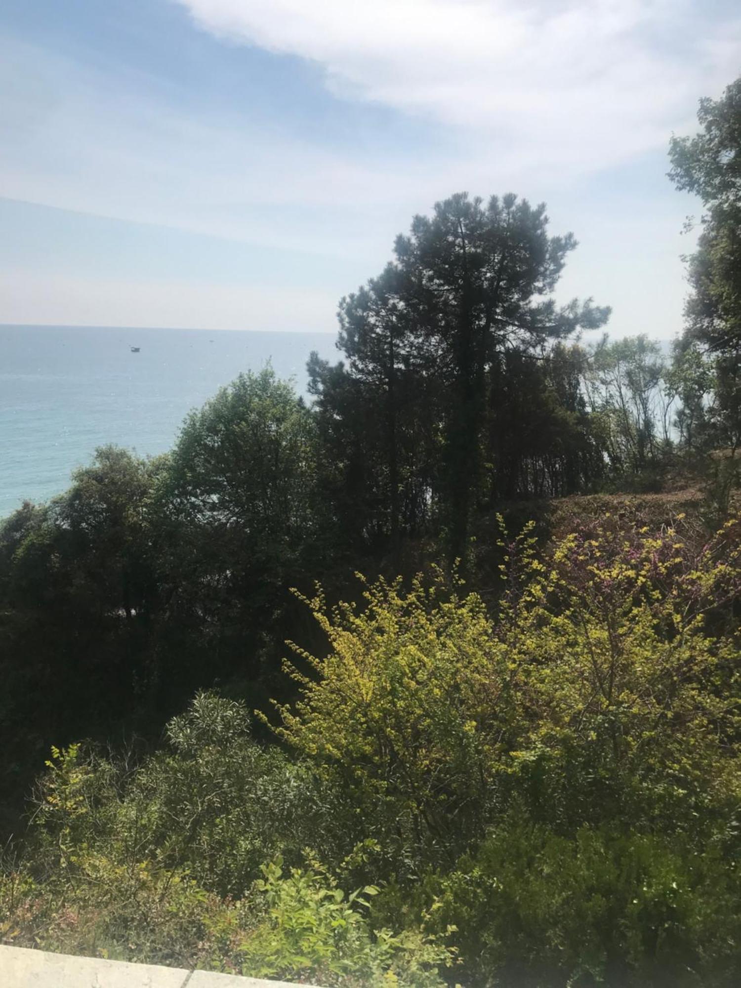 Zeusplace Seaside Home Private Beach And Parking بلاكا ليتوشورو المظهر الخارجي الصورة