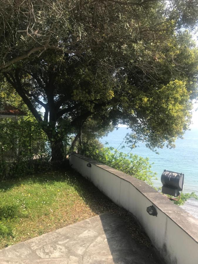 Zeusplace Seaside Home Private Beach And Parking بلاكا ليتوشورو المظهر الخارجي الصورة
